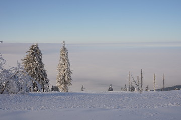 Hornisgrinde Schwarzwald