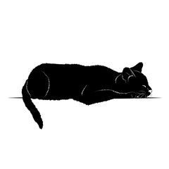 Vector illustration. Black silhouette of a sleeping cat