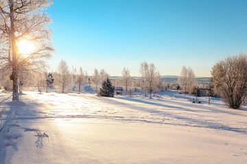 snowy landscape in Sweden
