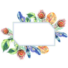 Colorful bird feather from wing. Watercolor background illustration set. Frame border ornament square.