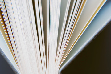 View of book pages. book pages closeup. 