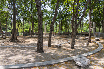 Modern concrete amphitheater under the tree.