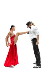 Portrait of young elegance tango dancers isolated over white background