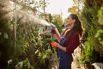 Girl gardener sprays water plants in the beautiful nursery-garden on a sunny day. Working in the...