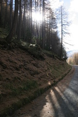 Obraz premium montagna