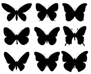 set of butterflies silhouettes, black