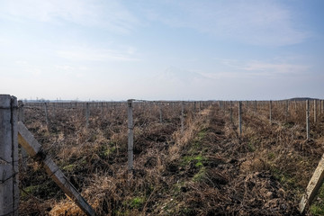 Fototapeta na wymiar Armenian agriculture