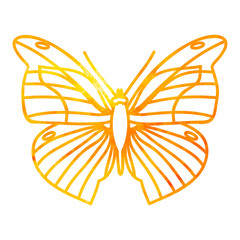 isolated, butterfly sketch watercolor