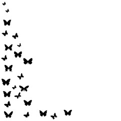  isolated, white background with butterfly silhouette