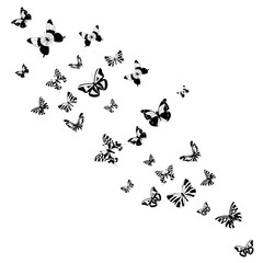vector, isolated, background, with a silhouette of a butterfly flying