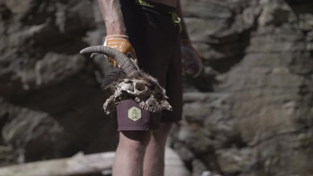 Skull discovery island