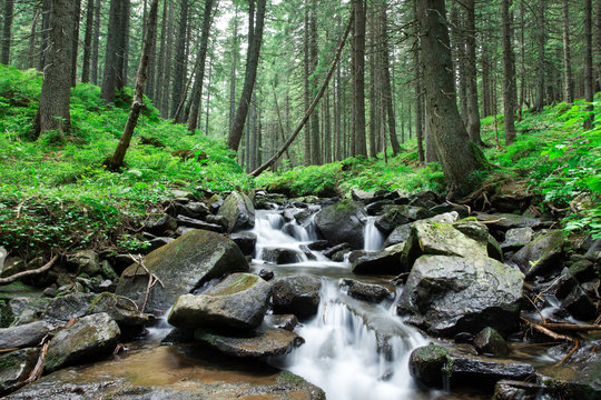Fototapeta  beautiful deep forest waterfall