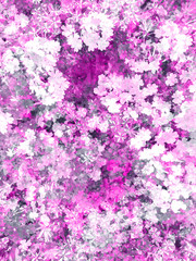 Floral daisy print in pink color - 245147803