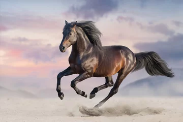 Poster Im Rahmen Bay Horse Run Galopp im Wüstensand © kwadrat70