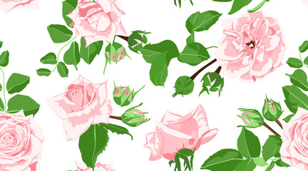Roses Seamless Pattern in Vintage Style.
