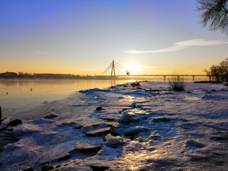 spring ice melts on the river and swans flew in