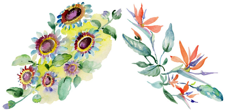 Bouquets floral botanical flower. Watercolor background illustration set. Isolated bouquet illustration element.