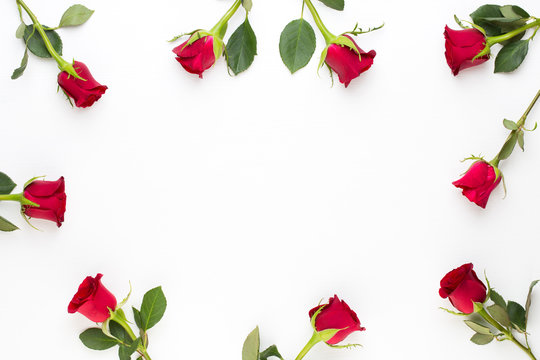 Heart of Roses on the white background. Valentines day greeting card.