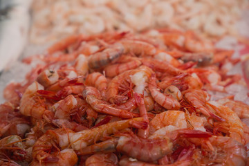 Pescado y sardinas plata en el mercadio