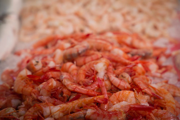 Pescado y sardinas plata en el mercadio