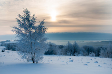 beautiful winter landscapes in the valleys