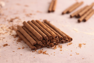 chocolate cookie