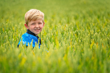 A small, blond boy in the field of cereals.