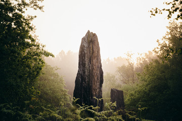 Menhir de Monteneuf dans la brume du matin au lever du jour au coeur de la forêt
