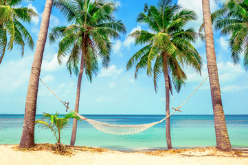 Fototapeta na wymiar Empty hammock between palms. Empty paradise beach, blue sea waves in island. Beautiful tropical island. Holiday and vacation concept.