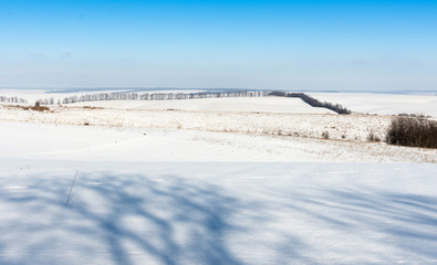 Obraz premium Outskirts of the village, winter landscape , fields in the snow and trees without snow