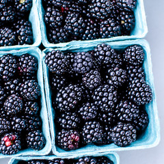 Plump organic black berries in quart containers ready for sale at the farmer's market