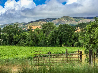 rural landscape with wooden fence