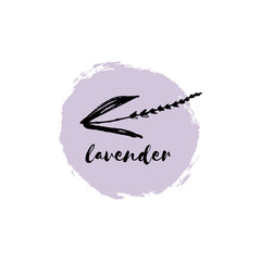 Vector hand drawn sketch of lavender branch. Element for design