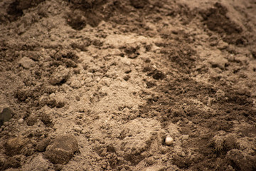 Clots of ground in the excavated surface
