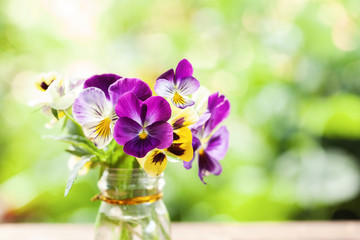 Fototapeta na wymiar Bouquet of colorful pansies on green nature background. Beautiful and delicate flowers.