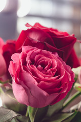 Bouquet of rose hips in vintage style