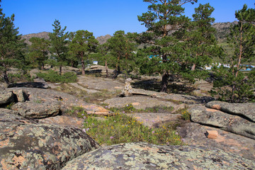 Mountains of round stones and pine