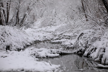 Fototapeta na wymiar Stream in the grims of winter