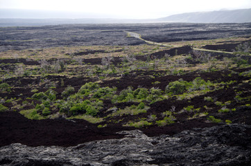 Landschaft im Volcano National Park auf Big Island, Hawaii