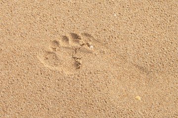 Footprint on the beach.