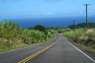 Fototapeta na wymiar Strasse auf Big Island, Hawaii