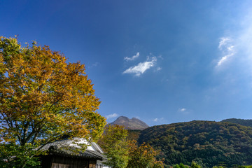 Fototapeta na wymiar The view of Autumn Trees and Mount Yufu in Background with blue sky and clouds. onsen town, Yufuin, Oita, Kyushu, Japan
