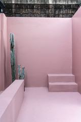 Minimal empty space scene with pink painted wall and little step and artificial cactus for photoshoot in natural light scene / studio concept / rose pink theme / outdoor studio / modern minimal style