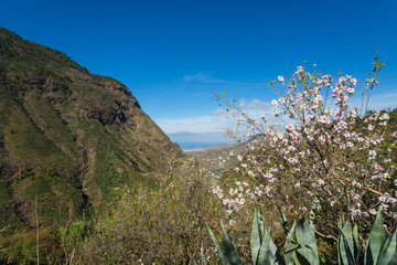 Canary islands gran canaria winter day