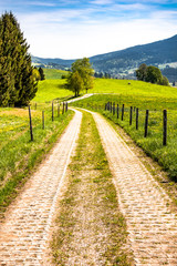 Obraz premium old road