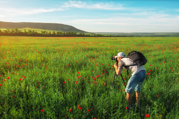 Photographer taking pictures of field with poppies during sunset