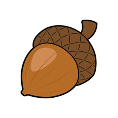 Cartoon acorn illustration