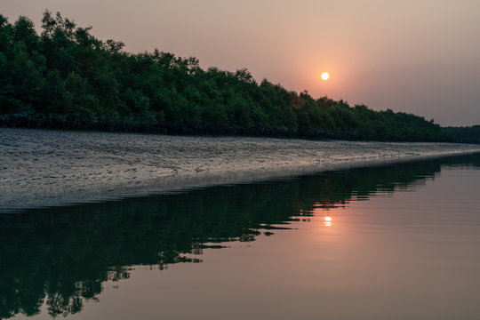 The Setting Sun Over The Mangroves In The Sundarbans In West Bengal In India