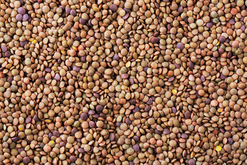 Top view of healthy red lentils surface