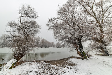 Naklejka premium Danube island (Šodroš) near Novi Sad, Serbia. Colorful landscape with snowy trees, beautiful frozen river.